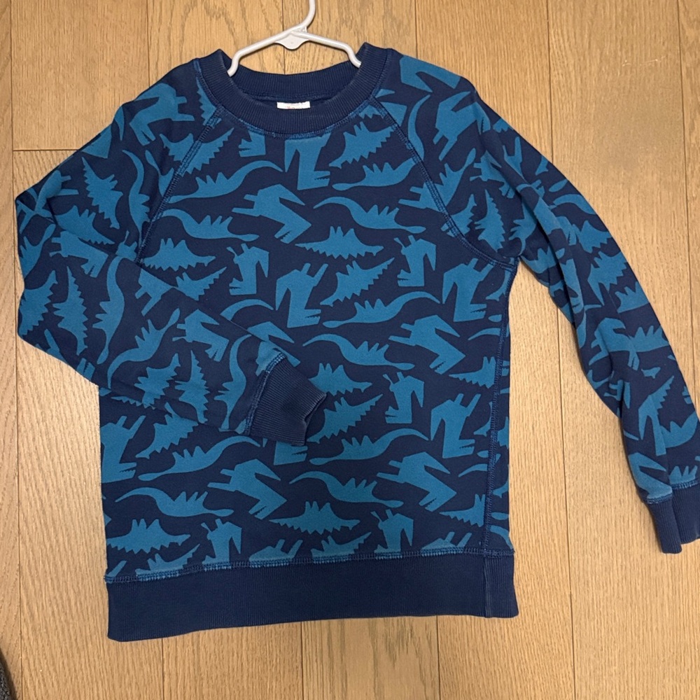 Hanna Andersson Navy Dinosaur Sweatshirt